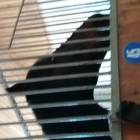 20170626_103431