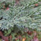 DSCN5047.JPG