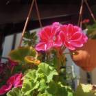 DSCN0582.JPG