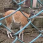 DSCN4947.JPG
