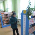 В детскую библиотеку за новыми книгами
