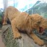 DSC05102.JPG