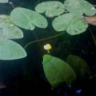 DSCN0338.JPG