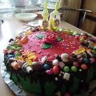 DSCN9517.JPG