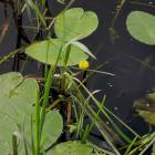 DSCN0444.JPG