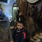 IMG_20171126_130242