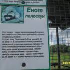 люблю лето82519