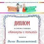 мои дипломы и грамоты118437
