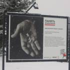 DSCN5301.JPG