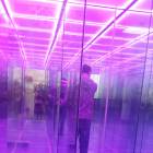 Стеклянный лабиринт. Путешествие в мир новых ощущений62896