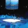 DSC04487.JPG