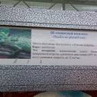Шлемоносный василиск83890