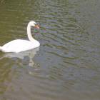 IMG_4820.JPG