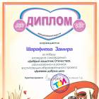 Шарафиева Замира 15