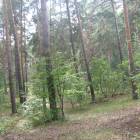 IMG_3721.JPG