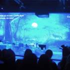 DSCN5905.JPG