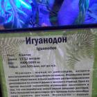 Мир динозавров. ТРЦ Италмас.63570