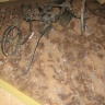 IMG_0792.JPG