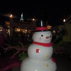 DSCN6704.JPG