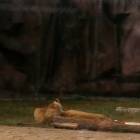 IMG_20160828_092443
