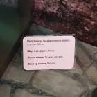 20190630_114422