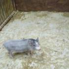 IMG_20171102_160838