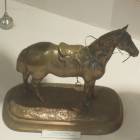 DSCN6813.JPG