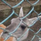 DSCN4946.JPG
