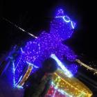 DSCN6784.JPG