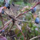 DSCN5051.JPG