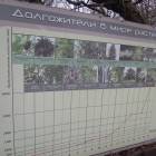 DSCN5033.JPG