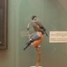 DSCN6819.JPG