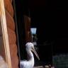 IMG_20160828_085804