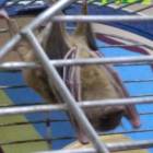 IMG_20171102_160321