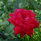 DSCN1502.JPG