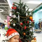 IMG_20171213_204733