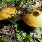 DSCN1651.JPG