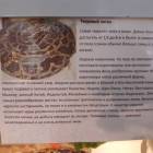 Выставка зоопарк "Живые тропики"60547