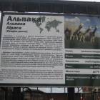 DSCN4885.JPG