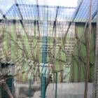 IMG_20160828_084135