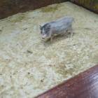 IMG_20171102_160113