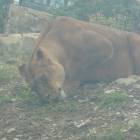 DSCN0223.JPG