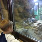IMG_20171112_191832
