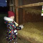 IMG_20181101_162819
