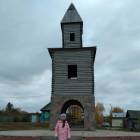 Гора Вшиха и Смотровая башня101537