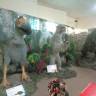 DSC05113.JPG