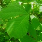 DSCN1624.JPG