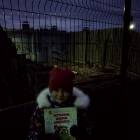IMG_20181101_162621