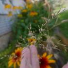 DSCN1673.JPG