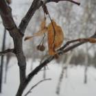 DSCN5300.JPG